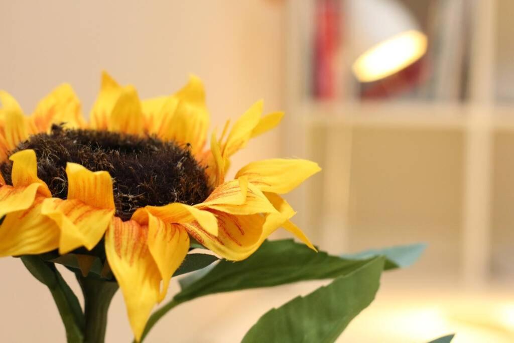 Fast Friend - Cozy Apartment In The Center With Private Garage ริเยกา ภายนอก รูปภาพ